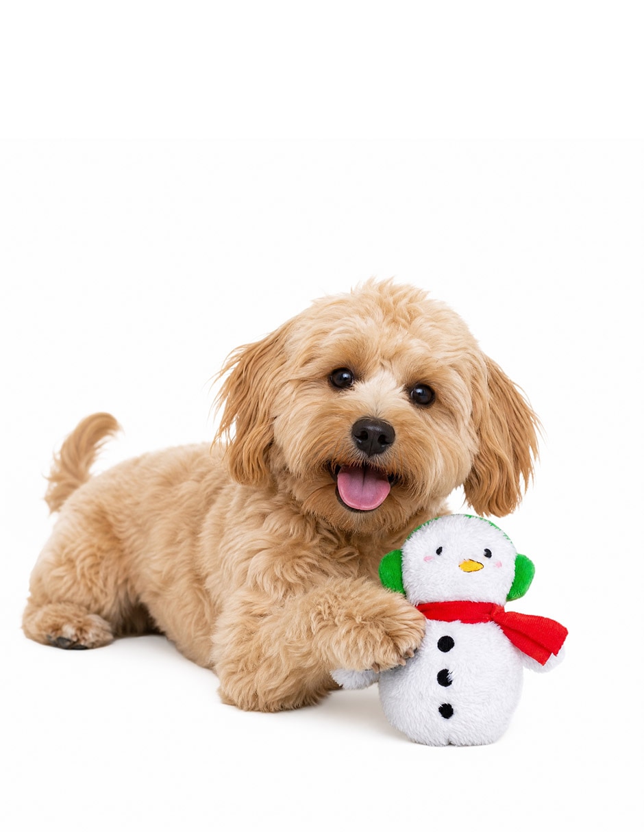 Peluche navideño para perro Peluche navideño para perro