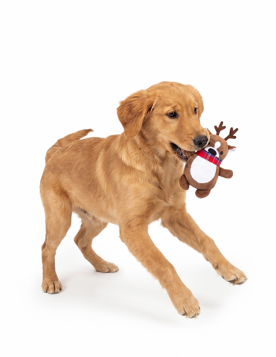 Peluche para perro