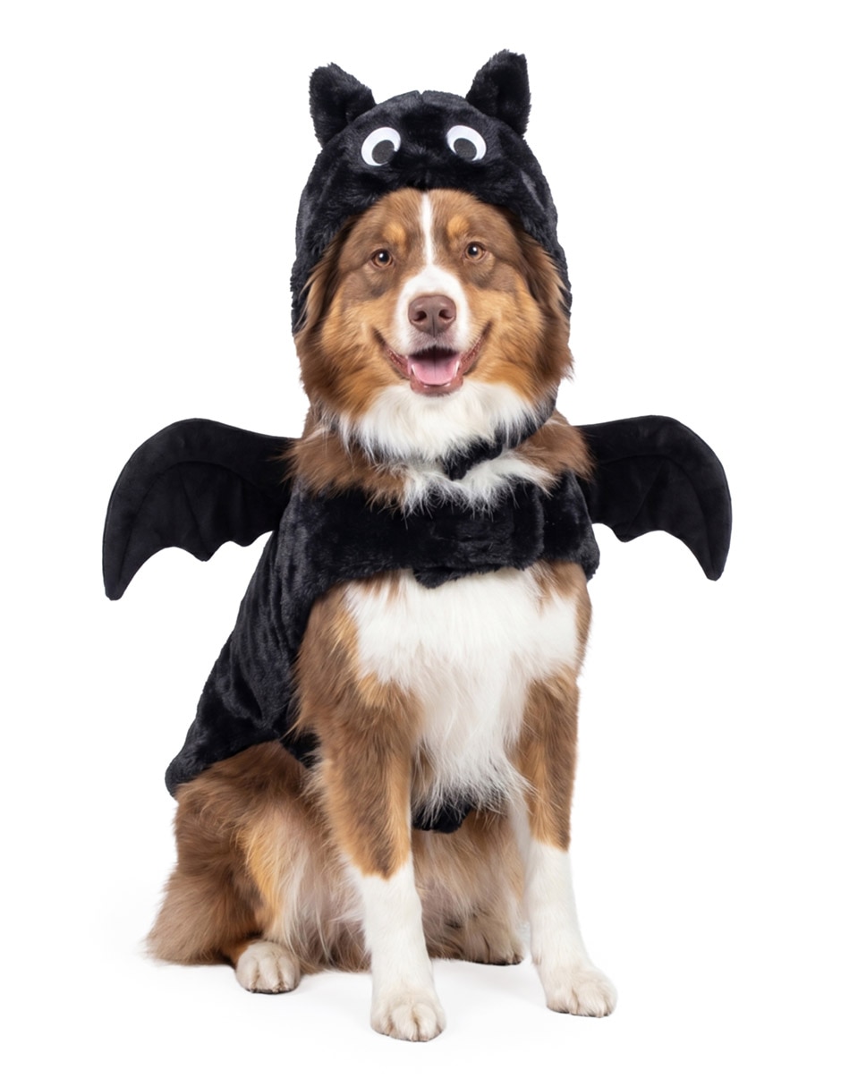 Disfraz para perro Disfraz para perro