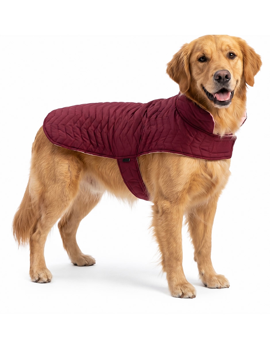 Chamarra para perro 6