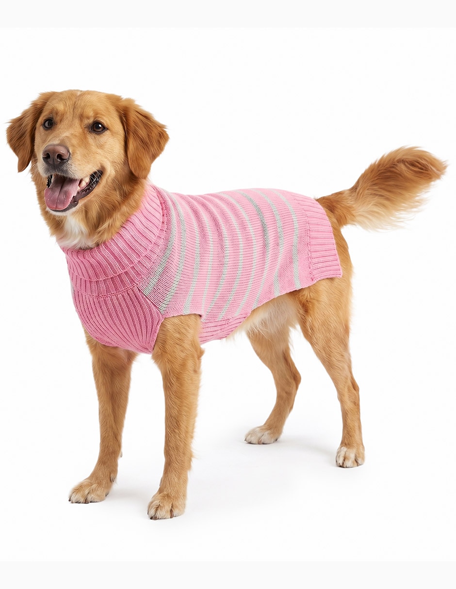 Sueter para perro 3