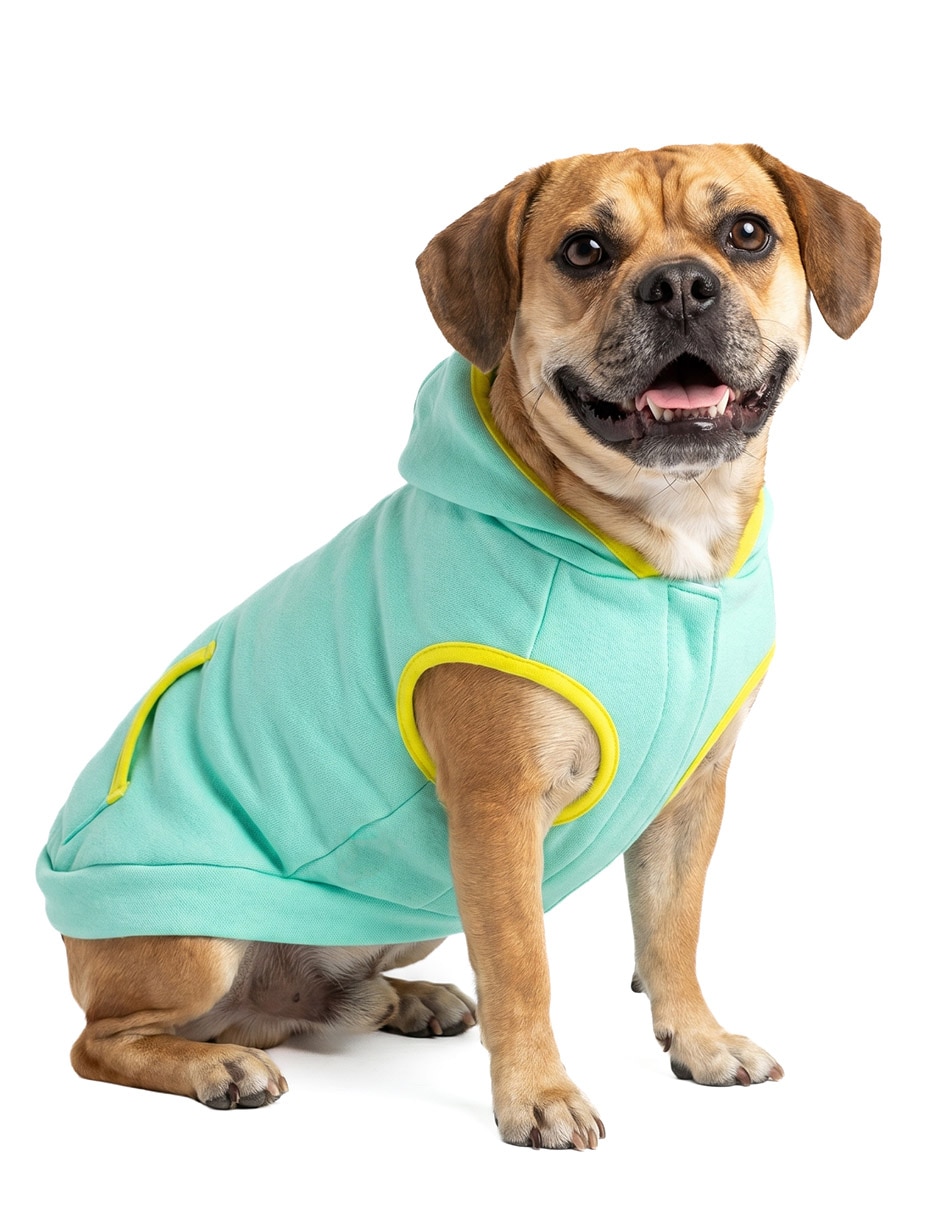Sudadera para perro 3