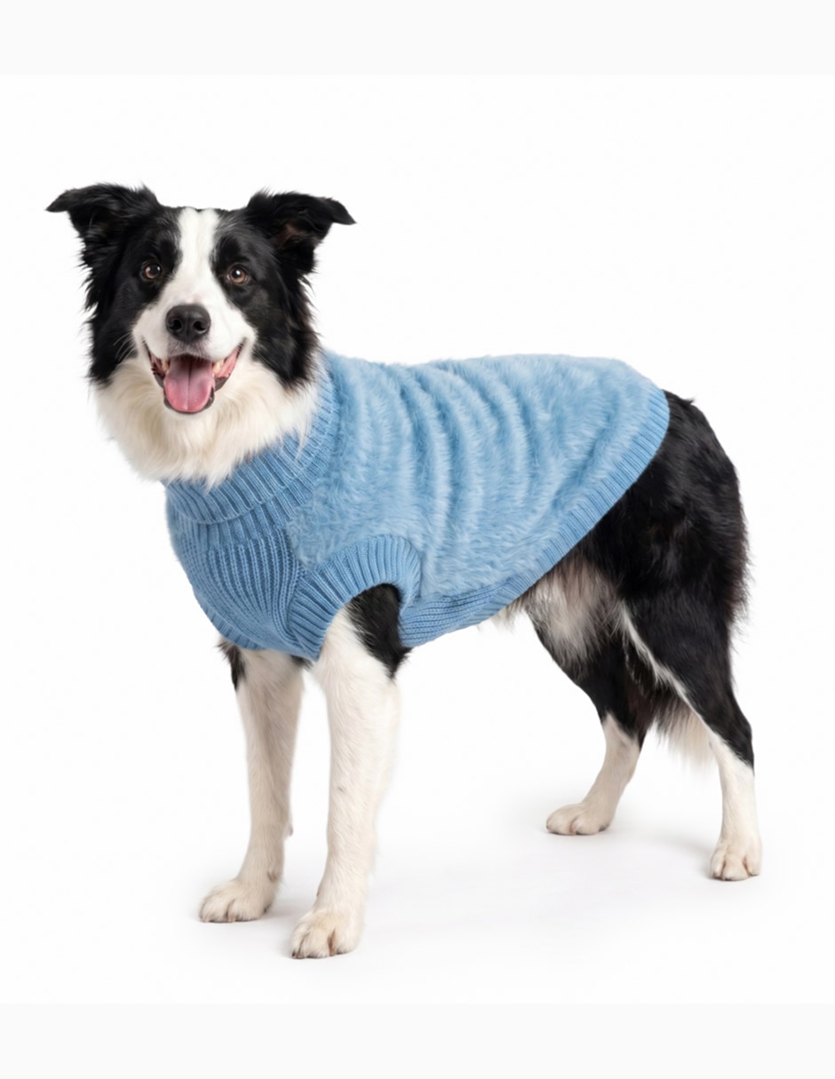 para perro 4