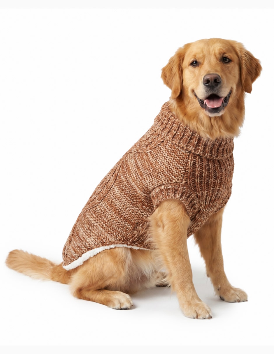 Sueter para perro 2